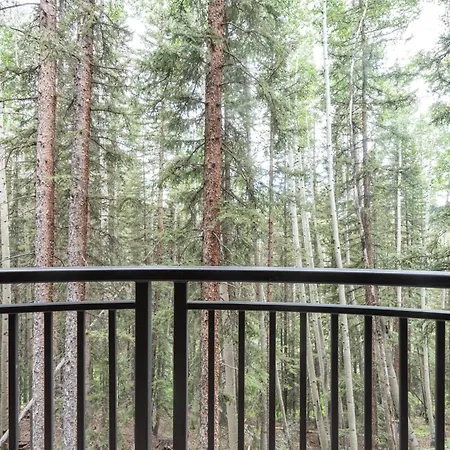 Apartment Bear Creek 201 *