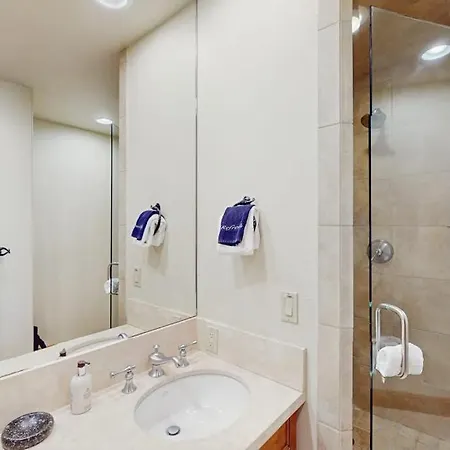 At Tristant 209 - San Sophia View * Telluride
