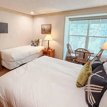 So Davis St 333 Unit #414 ~ Mountaineer Holiday home
