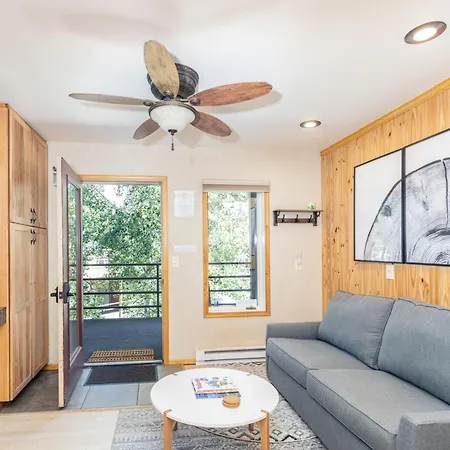 Apartment Viking 313 Telluride