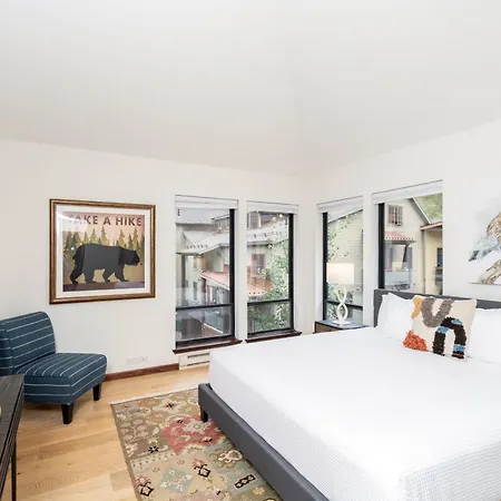 Big & Bright Hidden Gem With Garage, Hot Tub, Lux Kitchen * Telluride