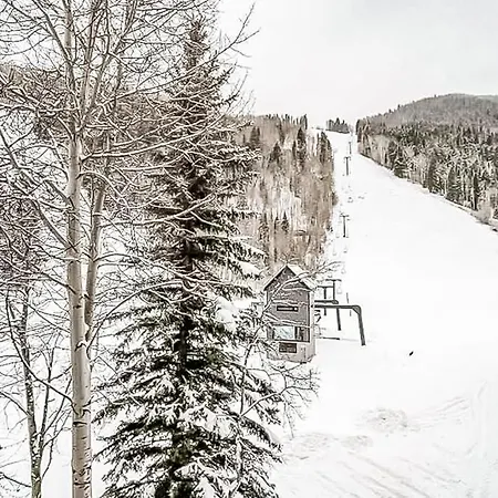 Double Diamond Ski-in/ski-out *