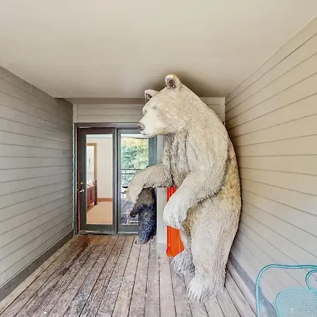 Apartment Cimarron Mountain Retreat