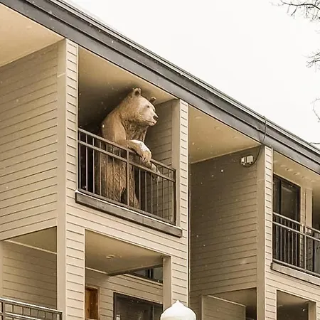 Cimarron Mountain Retreat Apartment