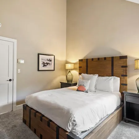 Apartment In Out In Town! Area Views, Fireplace, Hot Tub Telluride