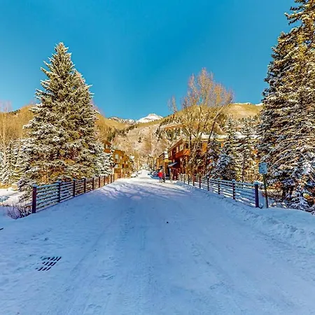 Riverside A02 - Riverside Chickadee Apartment Telluride