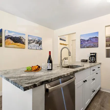 Apartment Fall Line 107 Telluride