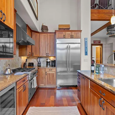 Mountain Village Retreat Hot Tub Ski-inout Telluride