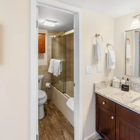 Mountain Village Blvd 562 ~ Columbia Place #7 *