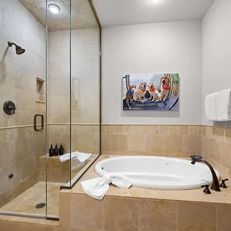 Holiday home Mountain Village Retreat Hot Tub Ski-inout Telluride
