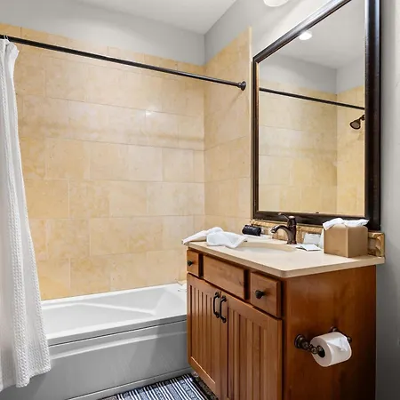 Mountain Village Retreat Hot Tub Ski-inout Holiday home Telluride