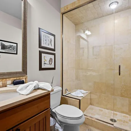 Mountain Village Retreat Hot Tub Ski-inout Holiday home Telluride