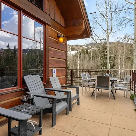 Mountain Village Retreat Hot Tub Ski-inout Telluride