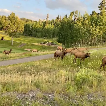 Adams Ranch Rd 259 ~ Summit Vista Holiday home Telluride