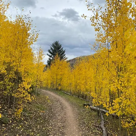 Adams Ranch Rd 259 ~ Summit Vista *