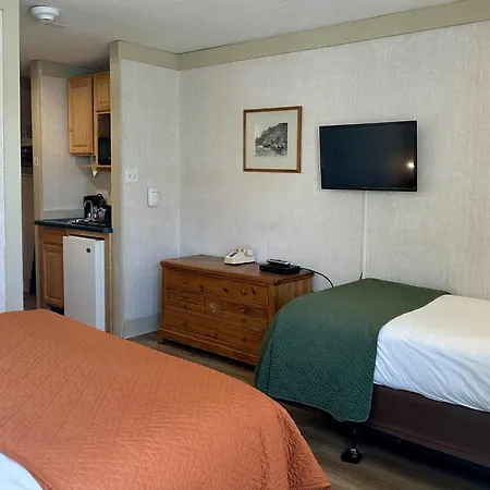 Hotel Mountainside 115 And 117 Telluride