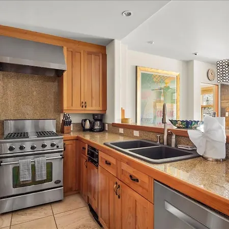 Mountain Village Gem Ski-in-out Steam Shower Holiday home