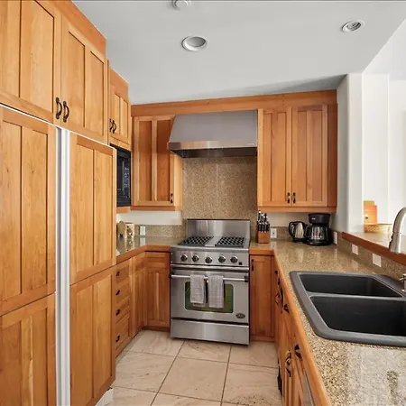 Mountain Village Gem Ski-in-out Steam Shower Holiday home Telluride