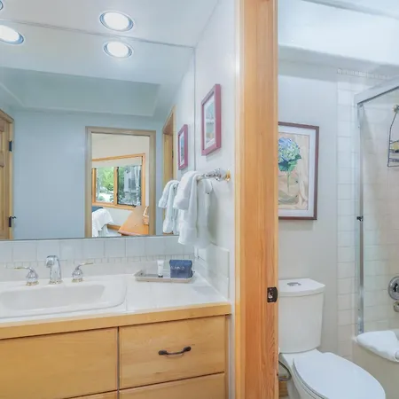 Slopeside Retreat Townhouse * Telluride