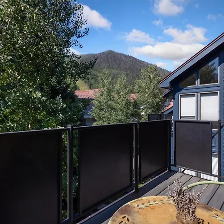 Big & Bright Hidden Gem With Garage, Hot Tub, Lux Kitchen Apartment Telluride