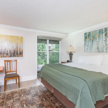 Hotel Mountainside 221 By Alpine
