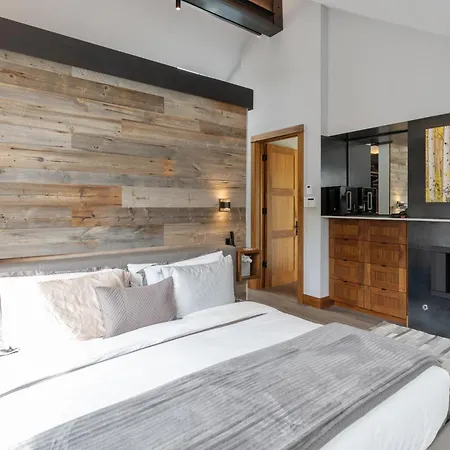 The Overlook Telluride-includes 2 Passes Holiday home *
