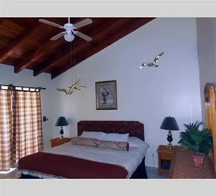 Apartment Alpine