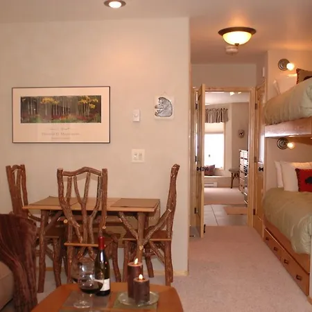 Apartment Viking 313 Telluride