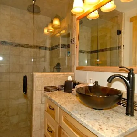 Apartment Viking 100b Telluride