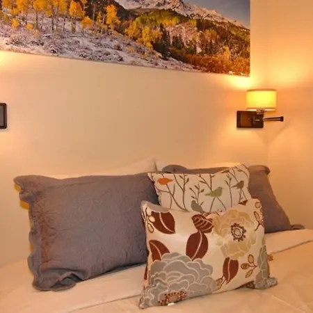Apartment Viking 100b Telluride