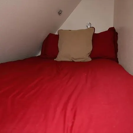 Apartment Viking 100a/b Telluride