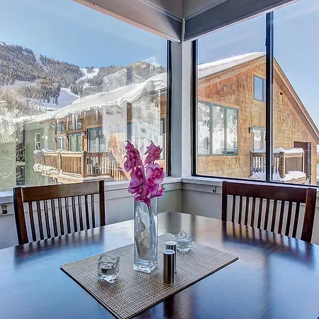 Ski View Studio Holiday home Telluride