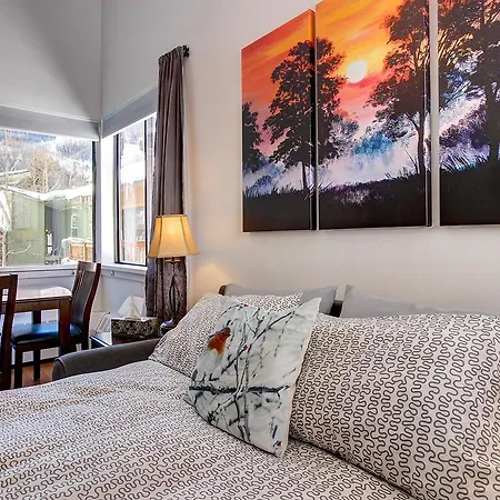 Ski View Studio Holiday home Telluride