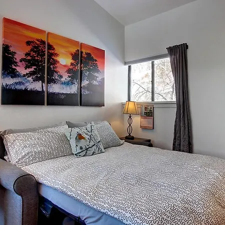 Ski View Studio * Telluride