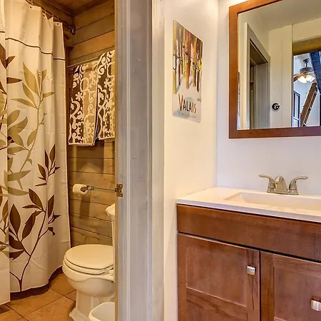 Ski View Studio Telluride