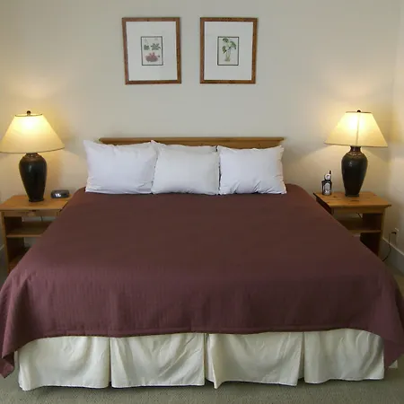 Hotel Mountainside 3*