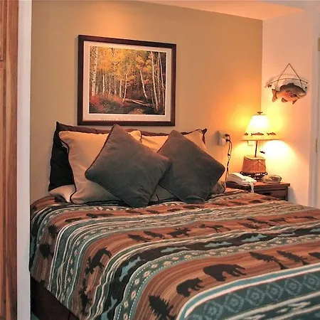 Viking 315 Apartment Telluride