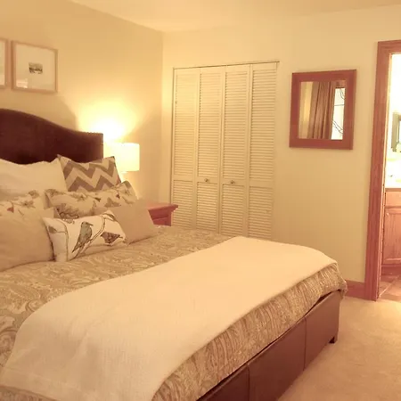 Apartment Cimarron #15 Telluride