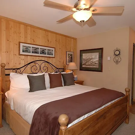 Viking 311 Apartment Telluride