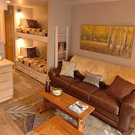 Viking 119 Apartment Telluride