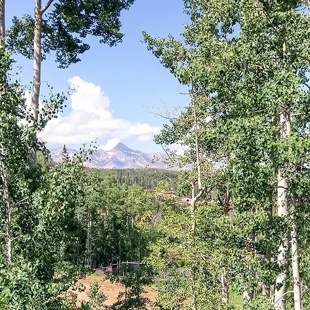 The Emerald Elk At Village Creek