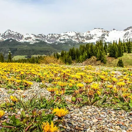 Rocky Mountain Lookout * Telluride