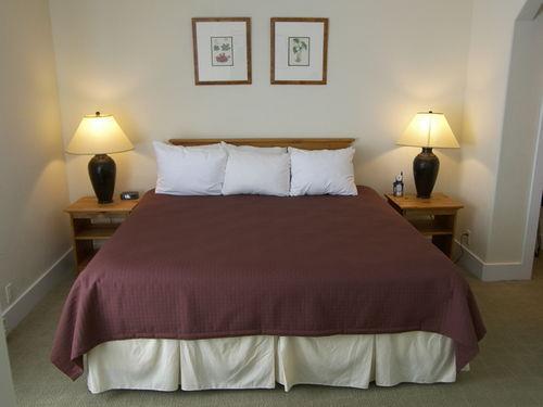 Alpine Hotel