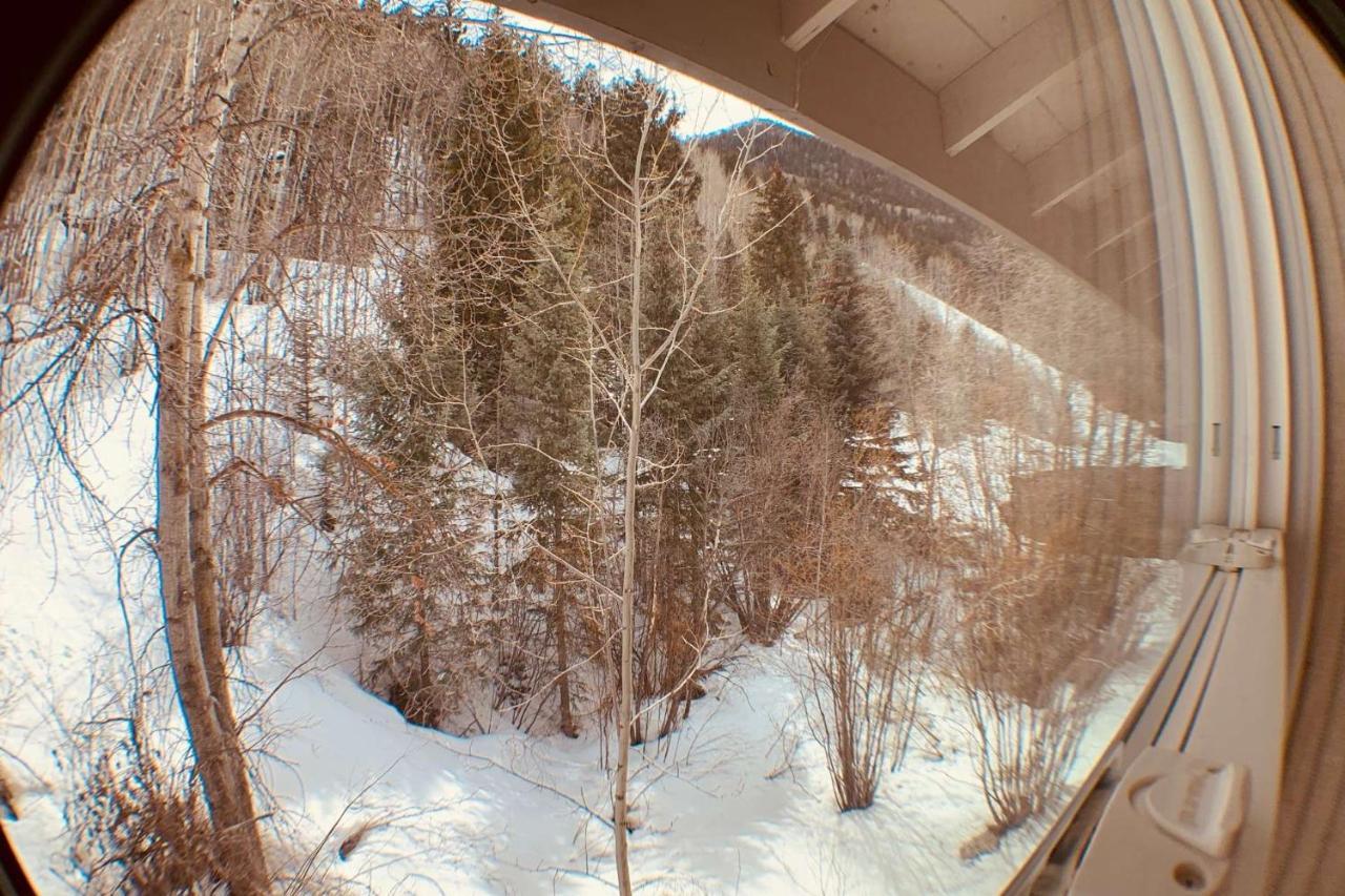 Mountaineer *