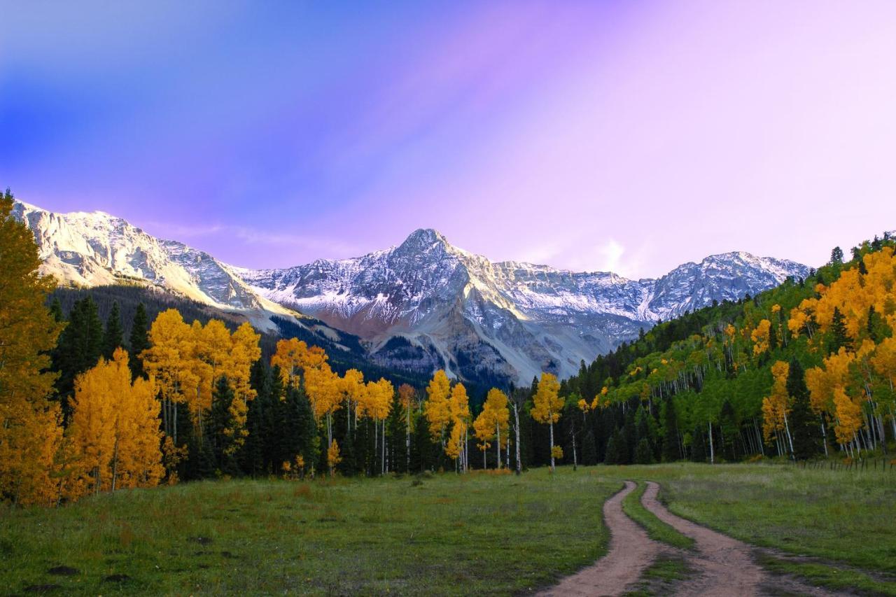 Twin Elk By Exceptional * Telluride