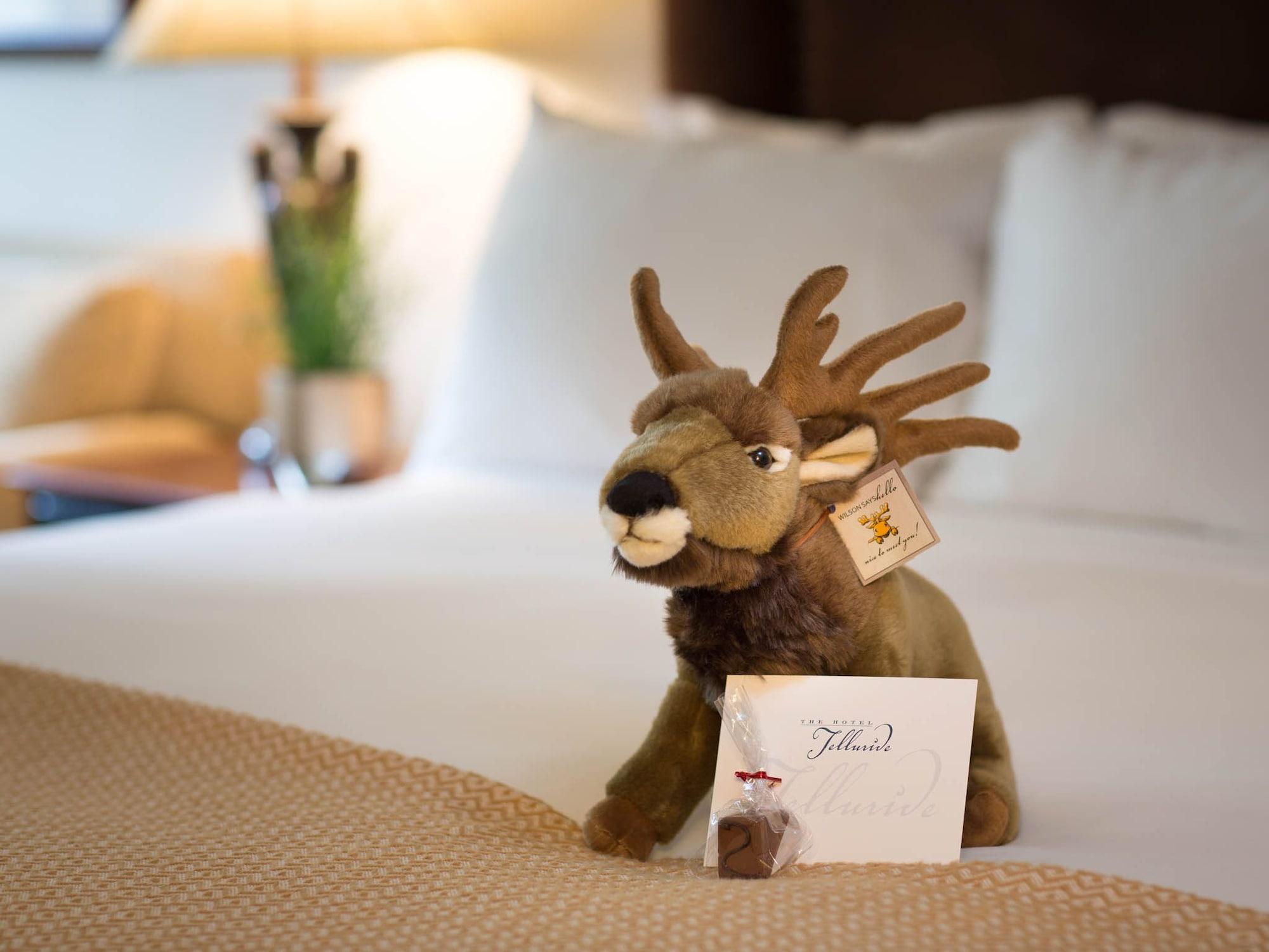 The 4* Telluride