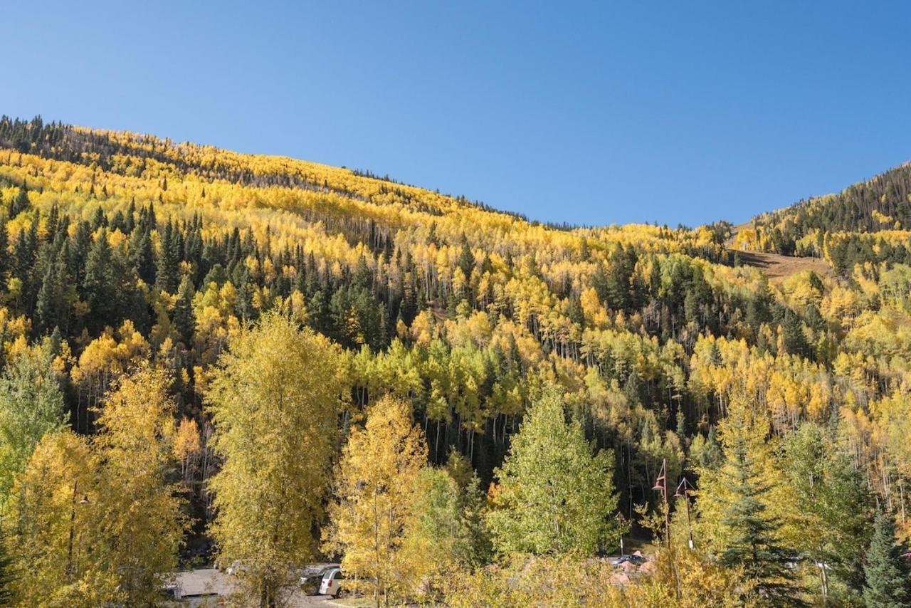 Giant Riverfront Deck W Grill, Tons Of Space Viking 100ab Apartment Telluride