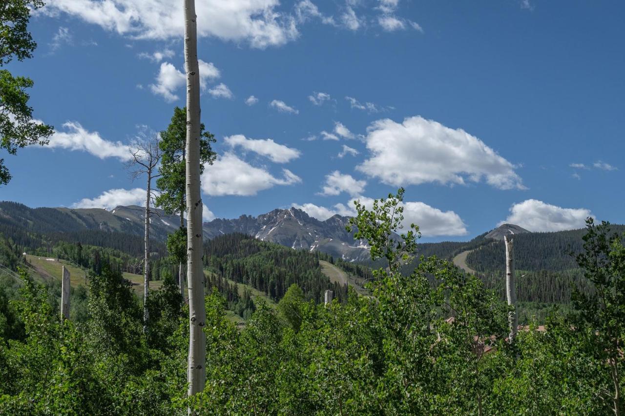 Mountain Village Panoramic Views, Hot Tub, Fireplace Townhouse Telluride