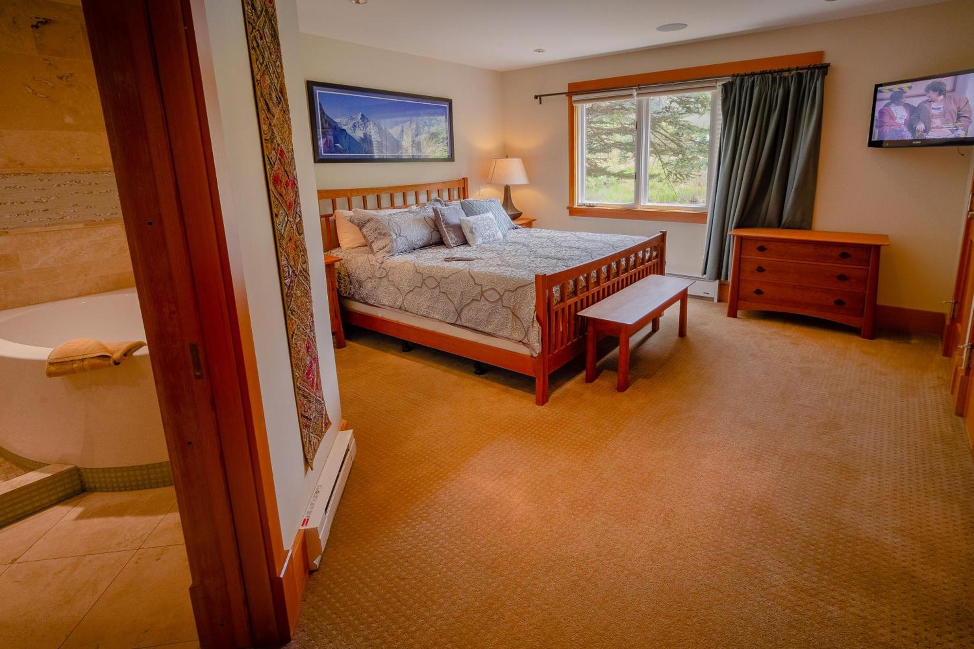 Buena Vista--best Luxury View In Telluride-sleeps 6 Telluride