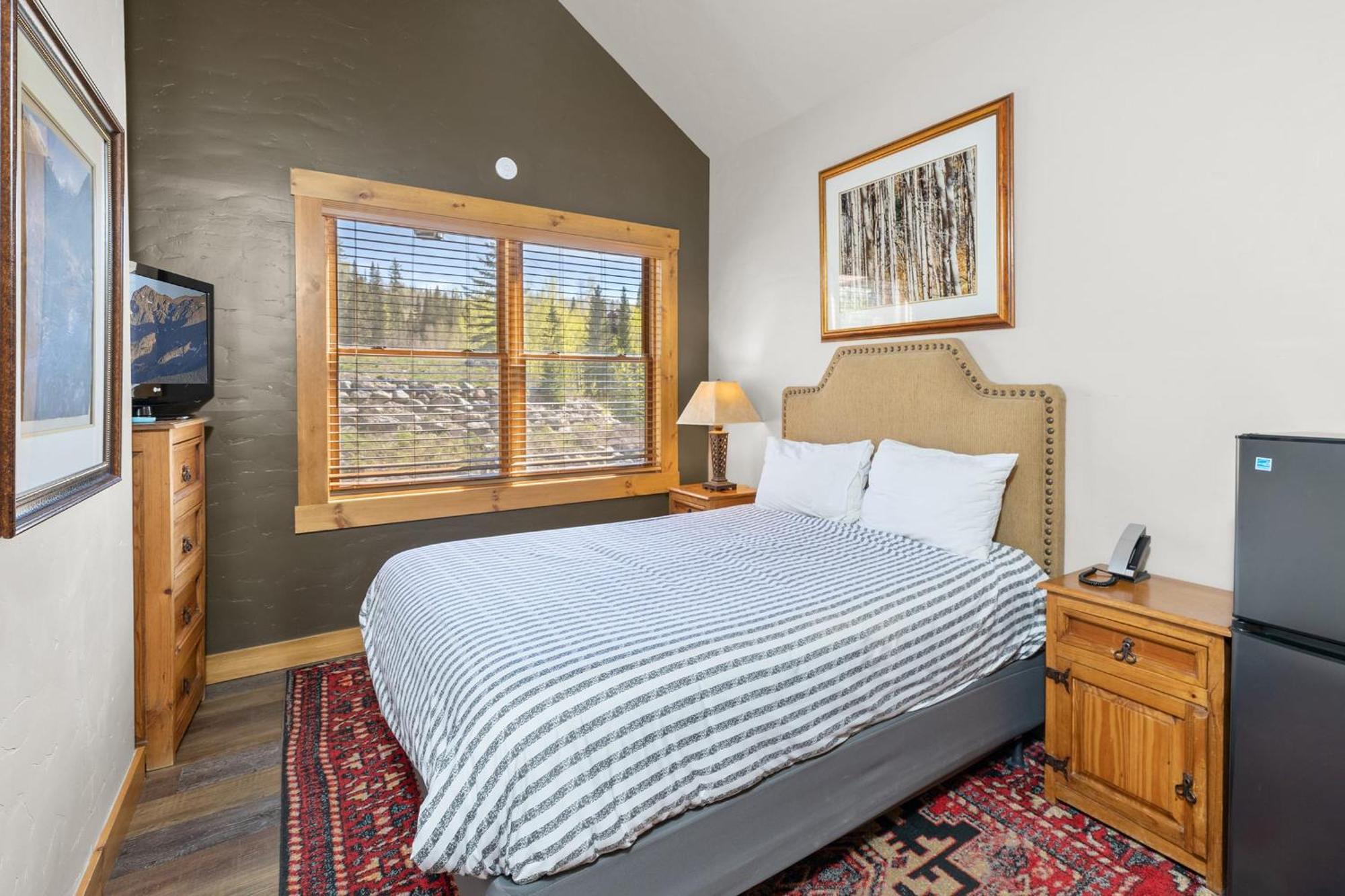 Mountain Skiin Out Amazing Location Holiday home Telluride